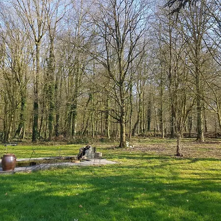 A L'orée De La Forêt *